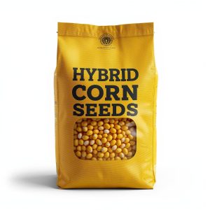 Bibit Jagung Hibrida